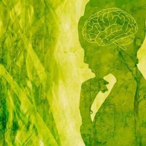Psicologi a scuola di Complessità